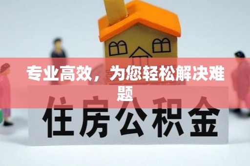 崇义专业高效，为您轻松解决难题